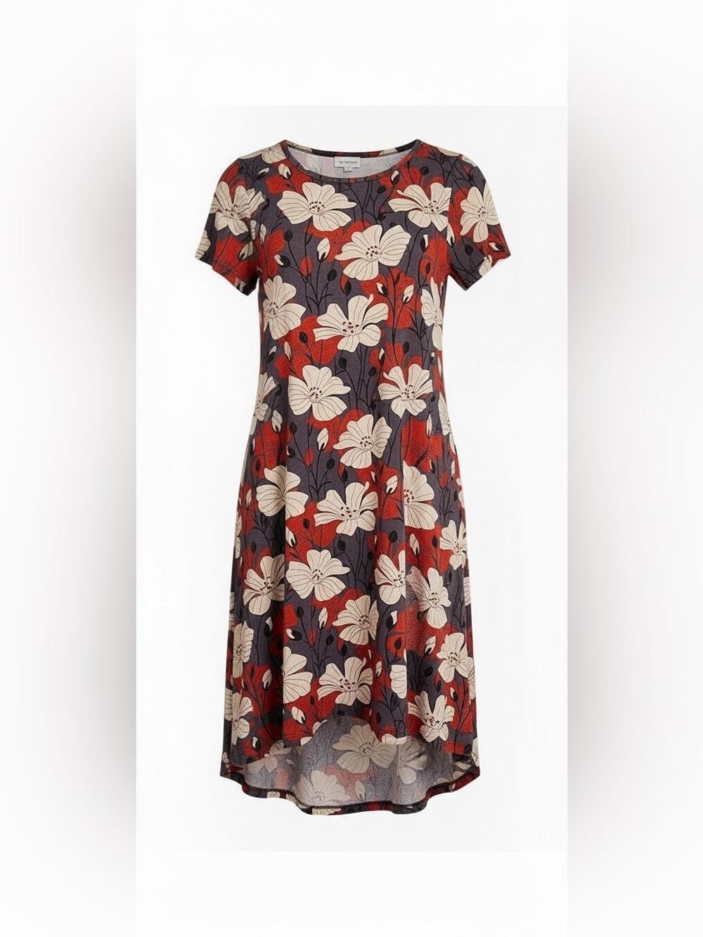 LuLaRoe Carly Swing Dress Floral Maxi Gray & Red Large